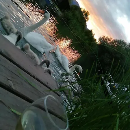 Schiller * Landskron