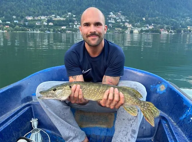 Apartament Schiller *