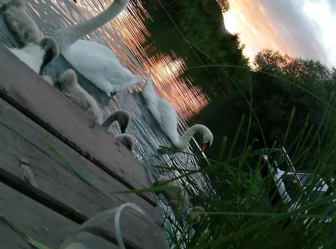 Schiller * Landskron