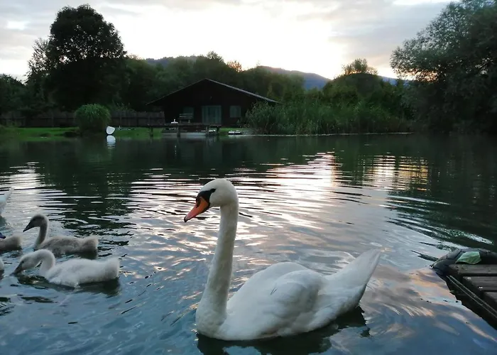 Apartament Schiller *